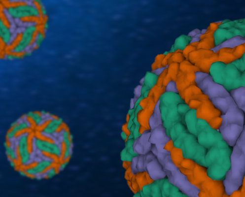 Biomolecular Engineering