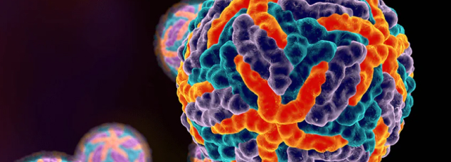 Development of Dengue vaccine tailored to infections in India