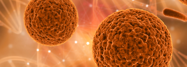 Explore Programs and Courses